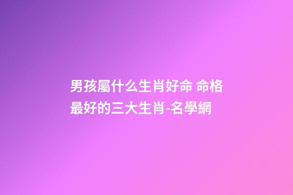 男孩屬什么生肖好命 命格最好的三大生肖-名學網-第1張-公司起名-玄機派